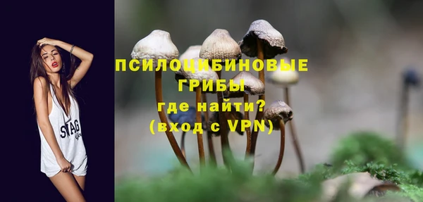 стаф Нязепетровск