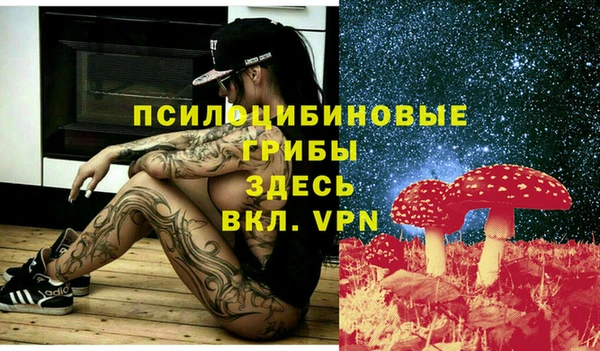винт Няндома