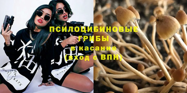 гидропоника Нягань