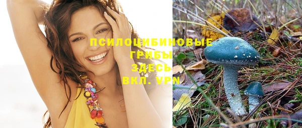 винт Няндома