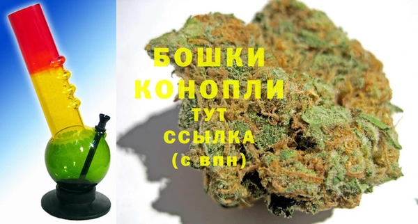 винт Няндома
