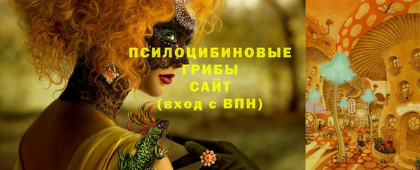 стаф Нязепетровск