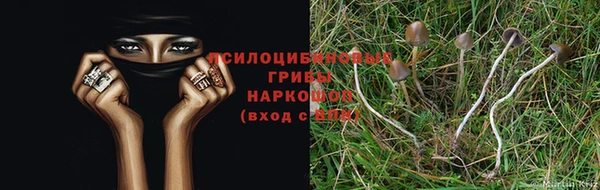 винт Няндома