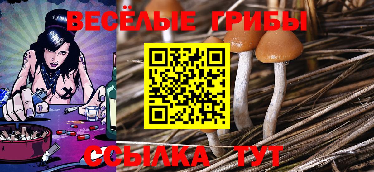 Баксан  Псилоцибиновые грибы GOLDEN TEACHER  Вход с VPN 