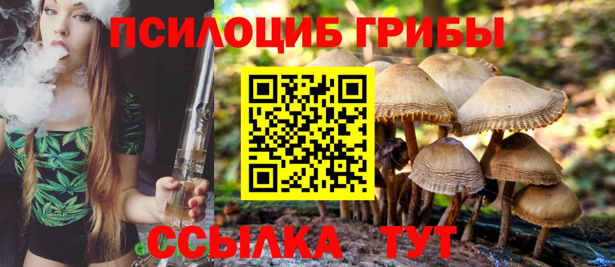 Галлюциногенные грибы ЛСД Баксан