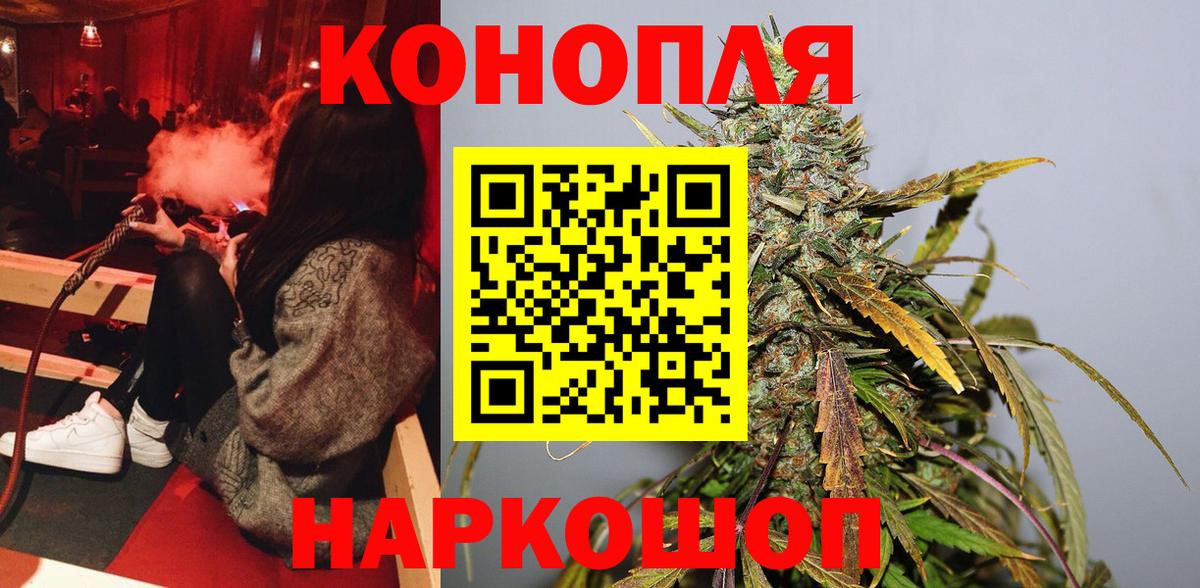 Шишки марихуана планчик  Канабис план  Бошки марихуана Amnesia  Канабис LSD WEED  Баксан 